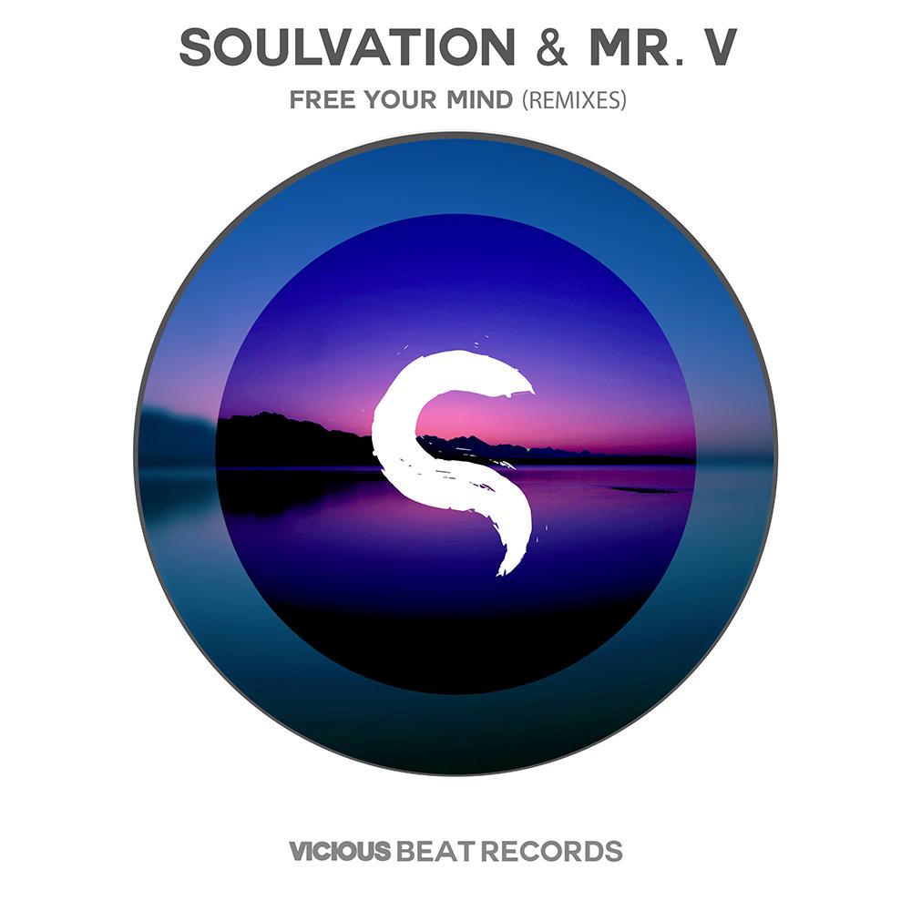 SOULVATION FEAT. MR.V - FREE YOUR MIND ( remixes ) 